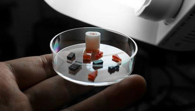 2016年生物3D打印八大重要成果 2016年生物3D打印八大重要成果