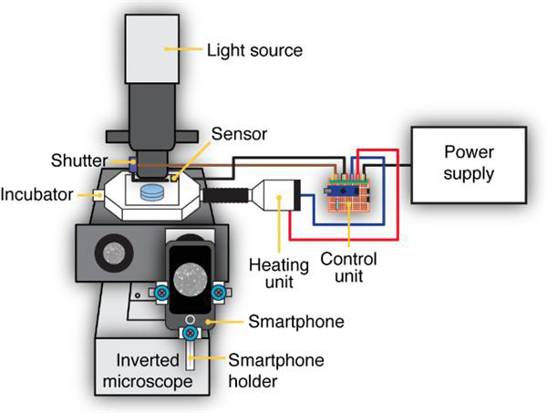 用3D打印件和智能手機DIY一個活細胞成像設備