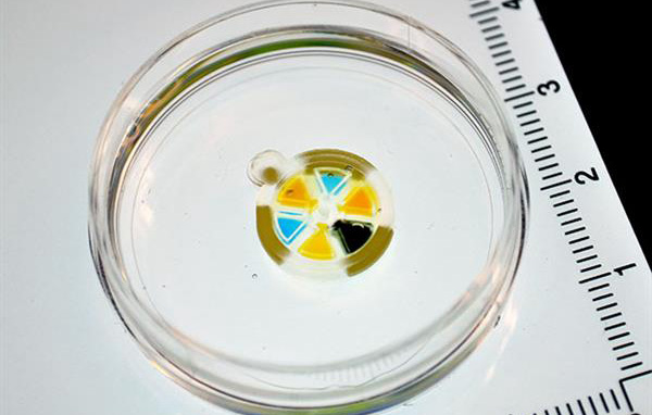 3D打印植入物biobots可以在體內分配藥物劑量