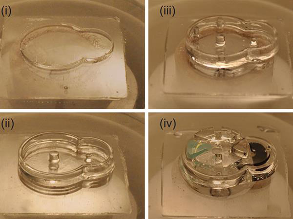 3D打印植入物biobots可以在體內分配藥物劑量