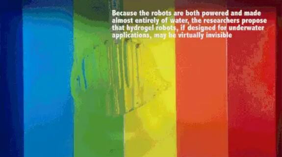 MIT 制造出柔軟的機器人 可以在水中隱身遁形