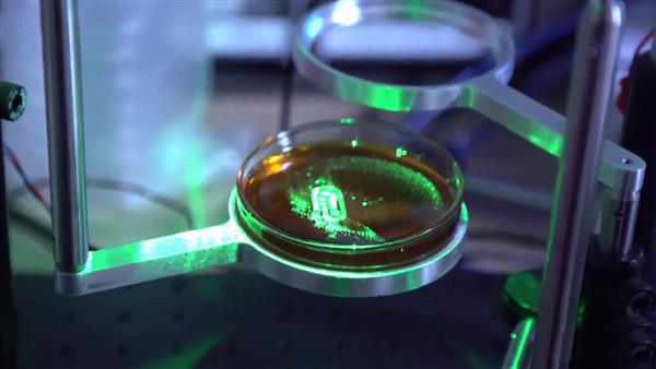 新DLP型3D打印機(jī)可用全息圖一次性固化對(duì)象