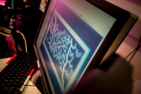 UCSD研究人員自制快速UV生物3D打印機造血管網(wǎng)絡