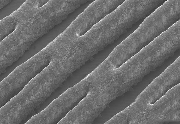 科學家開發出世界首個兼具供能和冷卻功能的3D打印液體電池