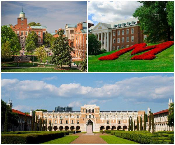 美國國立衛生研究院資助CECT中心625萬美元研究3D生物打印