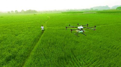 一天作業可達800畝 植保無人機助力農民致富
