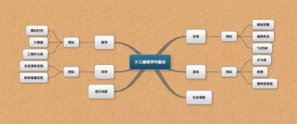 簡論少兒編程對于兒童和基礎教育的巨大作用