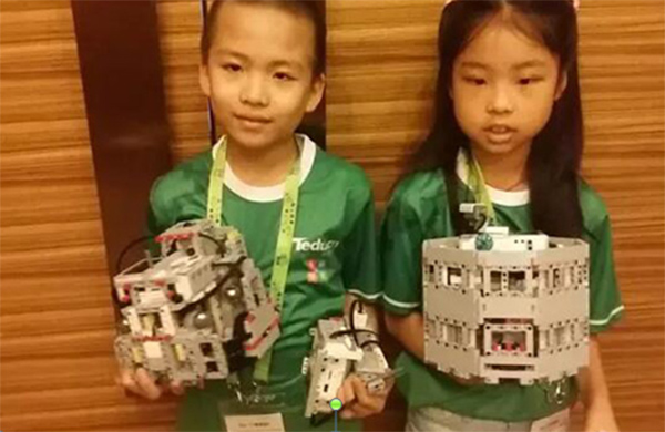 官方通知|2017世界青少年機(jī)器人奧林匹克競(jìng)賽（WRO）達(dá)內(nèi)直選賽