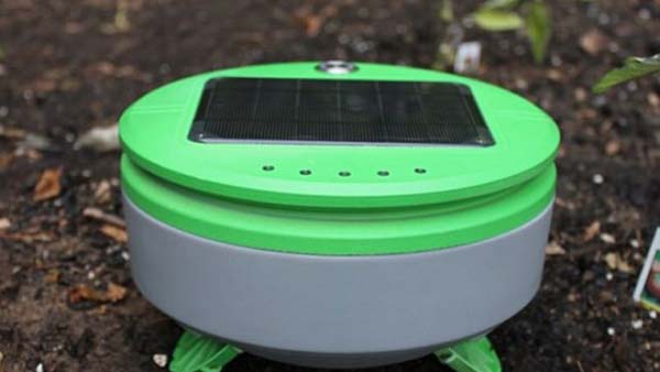 園丁機器人加入“除草戰” 可自動巡視用戶花園