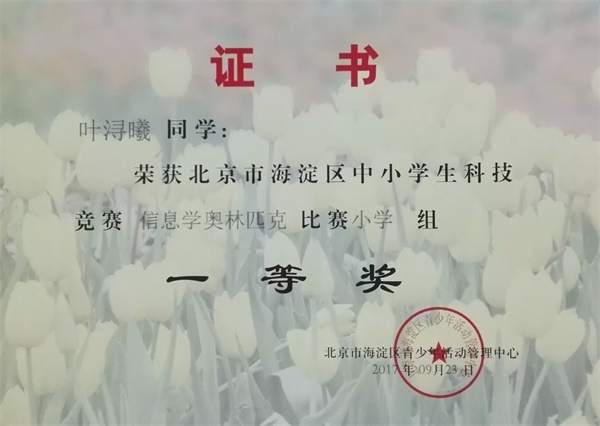 童程童美 | 2017年海淀區信息學奧賽獲獎名單