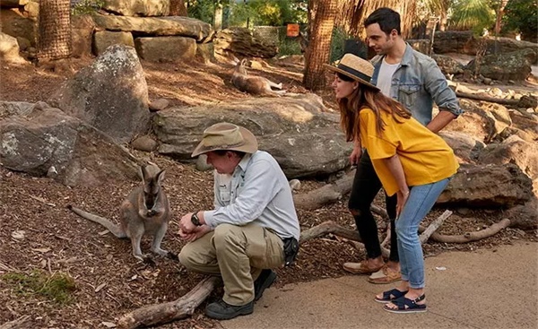 在青春好時(shí)光，來(lái)一場(chǎng)研學(xué)旅行吧！——2019澳洲研學(xué)營(yíng)報(bào)名模式已開(kāi)啟