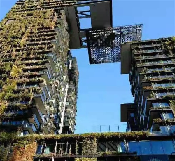 在青春好時(shí)光，來(lái)一場(chǎng)研學(xué)旅行吧！——2019澳洲研學(xué)營(yíng)報(bào)名模式已開(kāi)啟