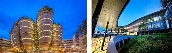 在新加坡南洋理工學習雙語編程，給孩子一個不一樣的寒假！ 