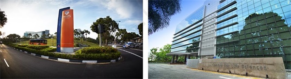 在新加坡南洋理工學習雙語編程，給孩子一個不一樣的寒假！ 