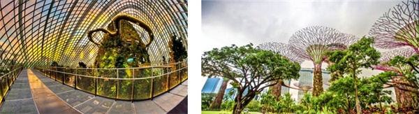 在新加坡南洋理工學習雙語編程，給孩子一個不一樣的寒假！ 