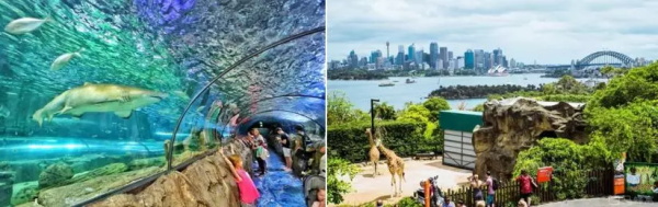 來大洋彼岸，做小小發明家 —2019澳洲機器人創新科技親子營報名在即