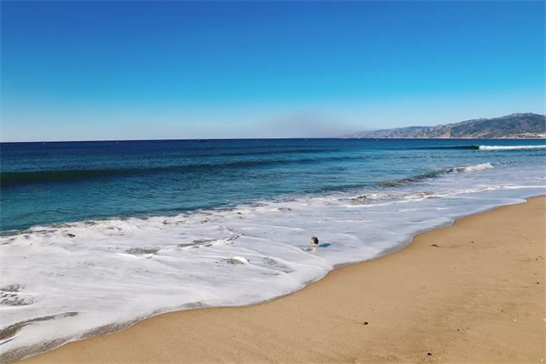 在世界頂級名校斯坦福大學學編程，讓孩子走在國際教育的前沿