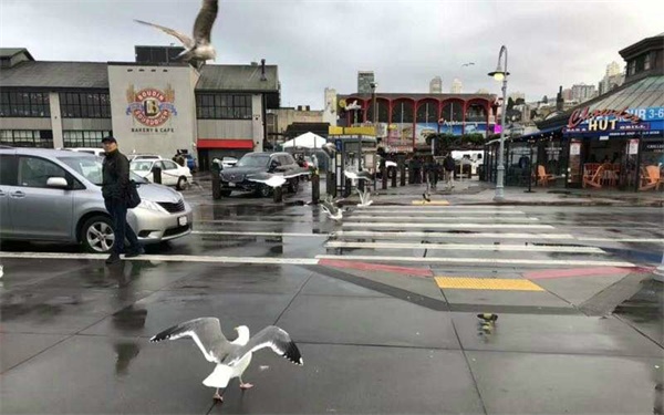 成長記 | 10歲的我在美國斯坦福大學(xué)學(xué)習(xí)！