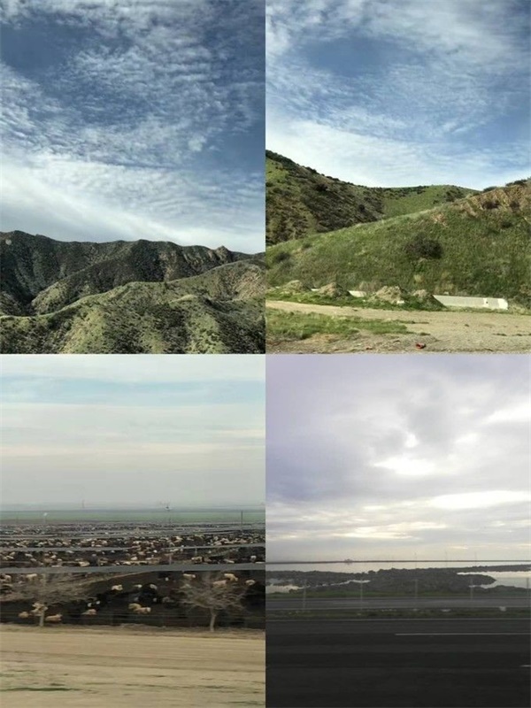 成長記 | 10歲的我在美國斯坦福大學(xué)學(xué)習(xí)！