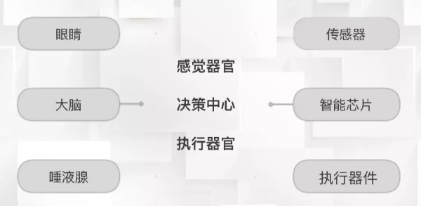 一節小學生也能聽懂的專業課：機器人和物聯網是怎么協同工作的？