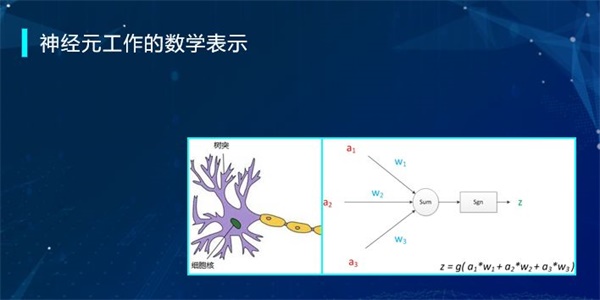 “半斤八兩”為什么一樣多？用編程告訴你這里的玄機！ 