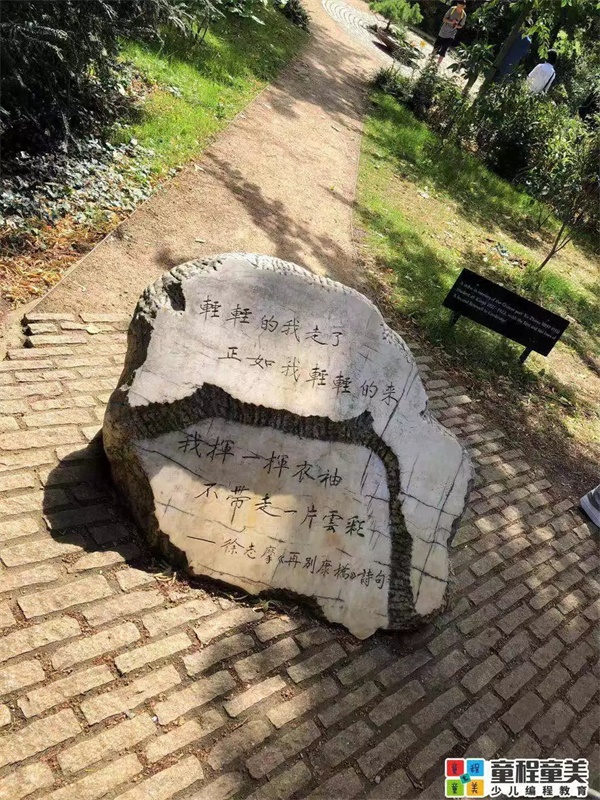 2019童程童美國際編程研學營圓滿收官，500名學員點亮名校夢！