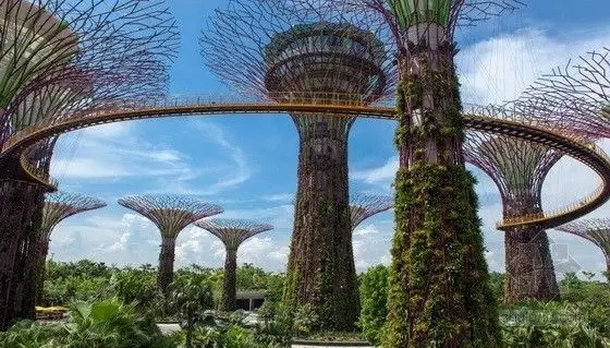 2020寒假新加坡國立大學人工智能科技研學營報名開啟！